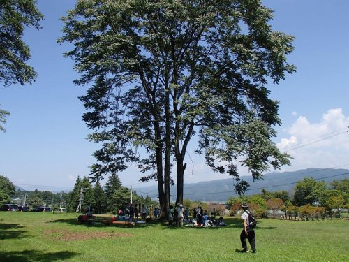 【公園】ながた自然公園まで1758ｍ