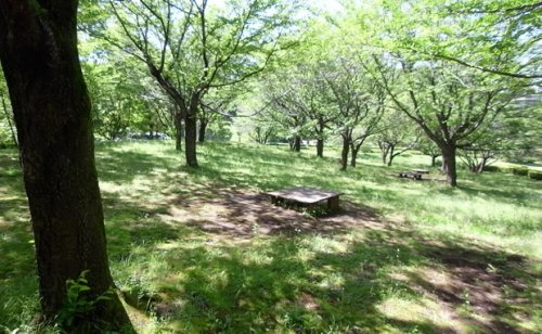 【公園】柳沢の池公園まで2540ｍ