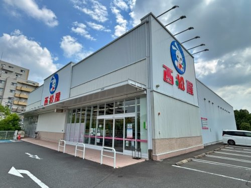 【その他】西松屋まで262ｍ