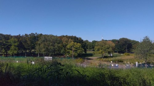 【公園】深北緑地まで1343ｍ
