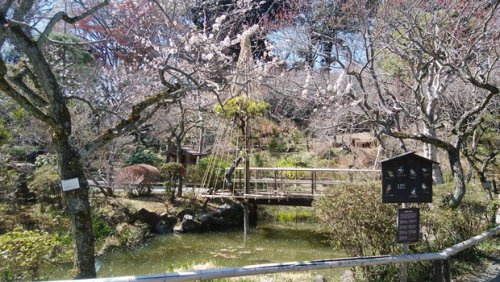 【その他】京王百草園まで486ｍ