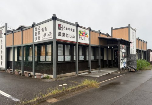 【和風料理】田まや食堂まで1579ｍ