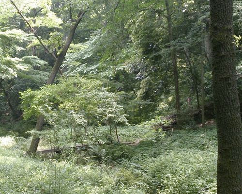 【公園】世田谷区保存樹林地まで272ｍ
