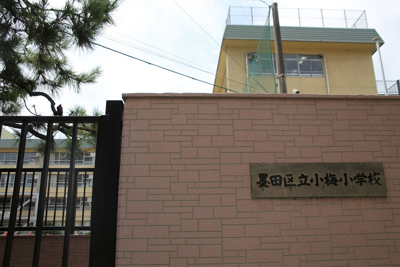 【小学校】墨田区立小梅小学校まで262ｍ
