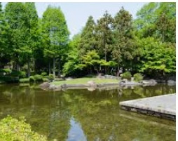 【公園】近松公園まで945ｍ