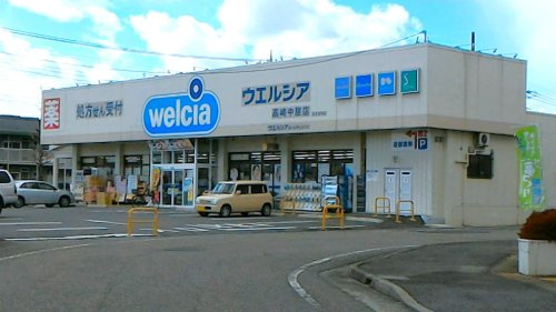 【ドラッグストア】ウエルシア高崎中居店 まで412ｍ