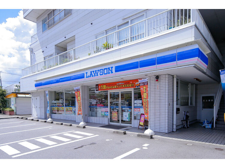 【コンビニエンスストア】ローソン　高岡野村店まで168ｍ