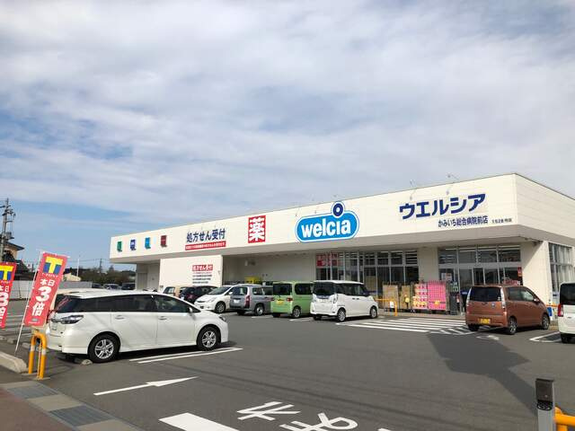 【ドラッグストア】ウエルシアかみいち総合病院前店まで428ｍ