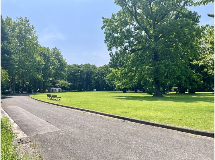 【公園】蓮町公園まで804ｍ