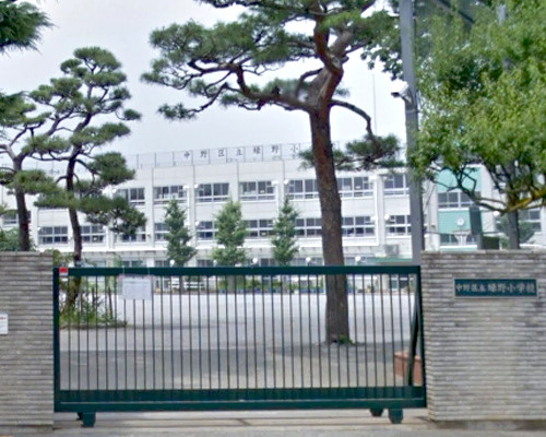 【小学校】中野区立緑野小学校まで982ｍ