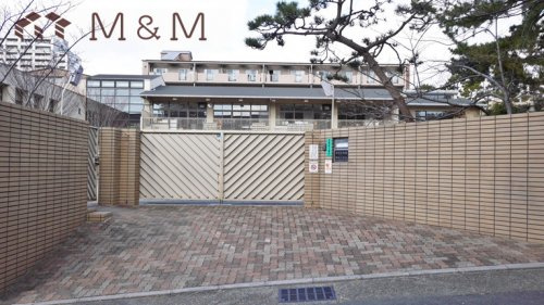 【幼稚園】甲南幼稚園まで811ｍ