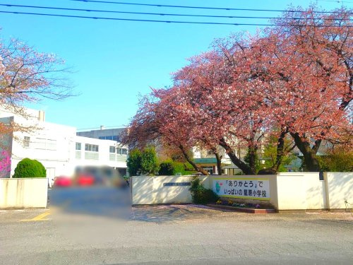 【小学校】熊谷市立籠原小学校 まで213ｍ