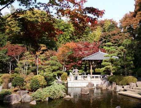 【公園】大磯城山公園まで990ｍ