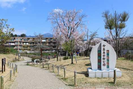 【公園】今泉名水桜公園まで1453ｍ
