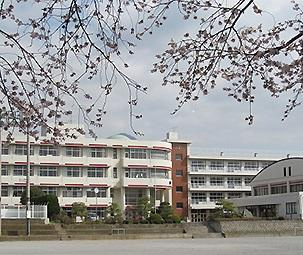 【中学校】秦野市立南中学校まで1451ｍ