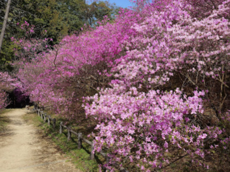 【公園】広田山公園まで1019ｍ