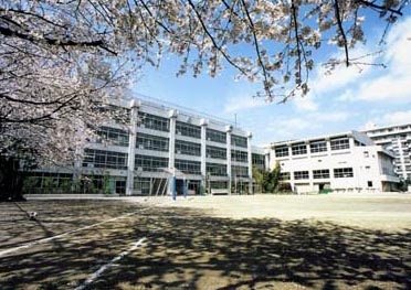 【小学校】世田谷区立希望丘小学校まで229ｍ