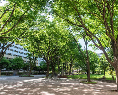 【公園】希望ヶ丘団地広場まで408ｍ