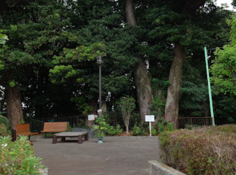 【公園】ワシン坂公園まで846ｍ