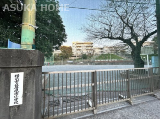 【小学校】横浜市立屏風浦小学校まで169ｍ