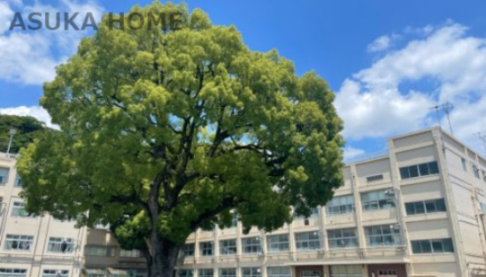 【小学校】横浜市立根岸小学校まで513ｍ