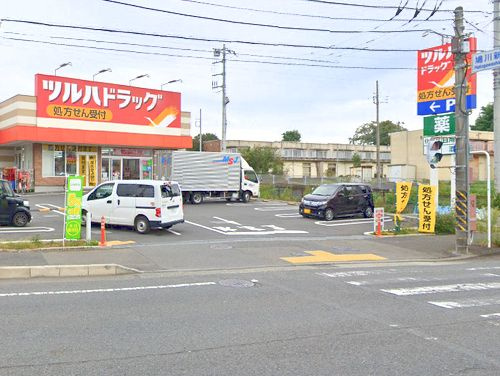 【ドラッグストア】ツルハドラッグ上溝店まで869ｍ