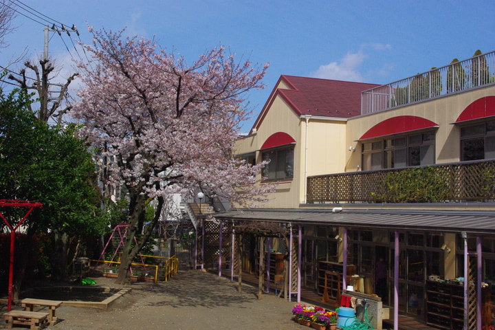【幼稚園】渋谷同胞幼稚園まで216ｍ