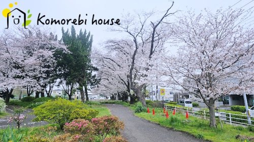 【公園】つつじケ丘公園まで468ｍ