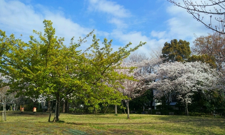 【公園】西郷山公園まで363ｍ