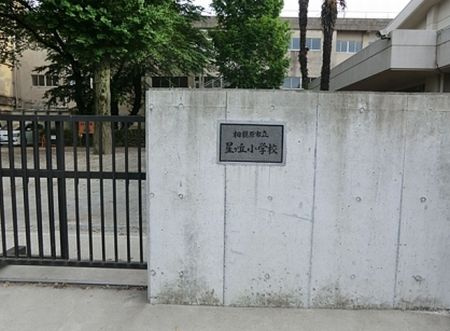 【小学校】相模原市立　星が丘小学校まで420ｍ