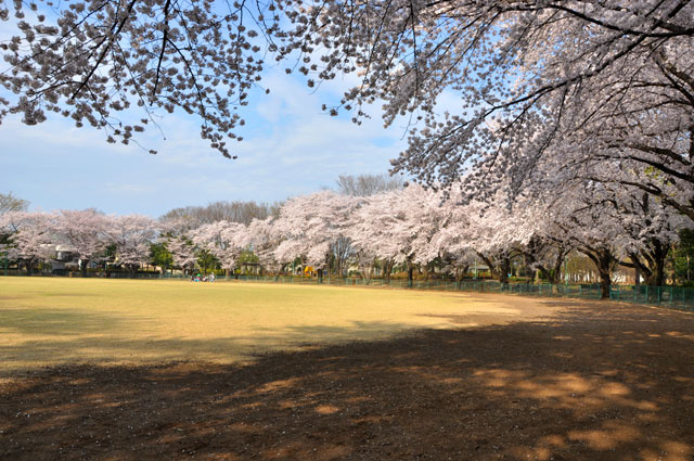 【公園】笠幡公園まで1594ｍ