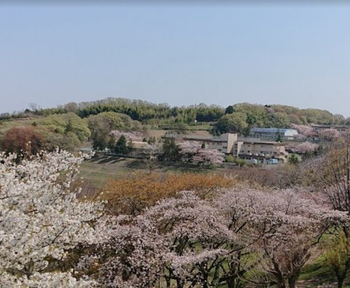 【公園】白山神社下公園まで266ｍ
