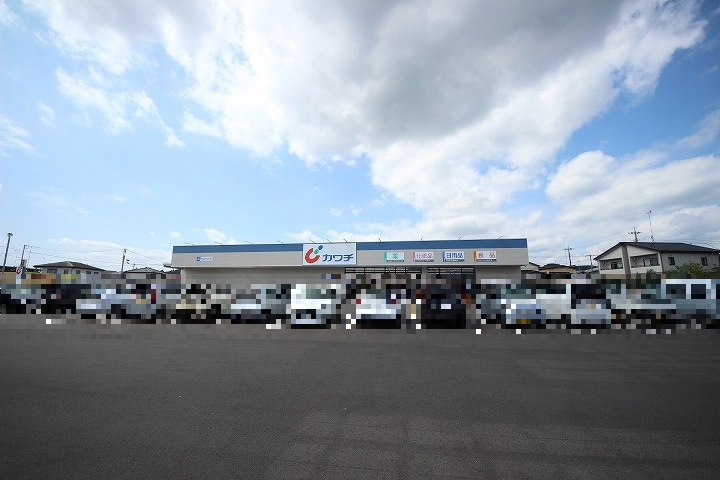 【ドラッグストア】カワチ　鹿沼北店まで310ｍ