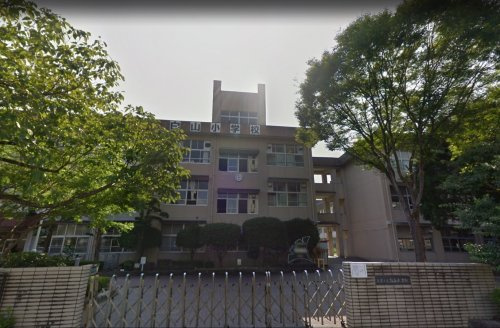【小学校】熊本市立白山小学校まで162ｍ