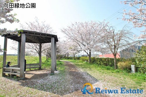【公園】向田緑地公園まで650ｍ