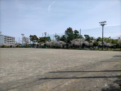 【公園】清水桜ヶ丘公園まで4686ｍ