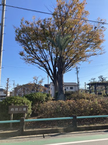 【公園】向原公園まで1190ｍ