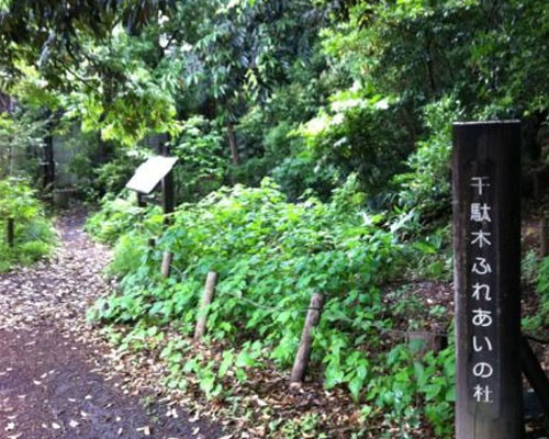 【公園】文京区立千駄木ふれあいの杜まで461ｍ