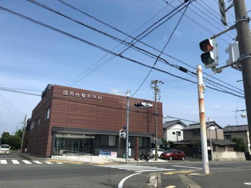 【整形外科】国府台整形外科まで1095ｍ
