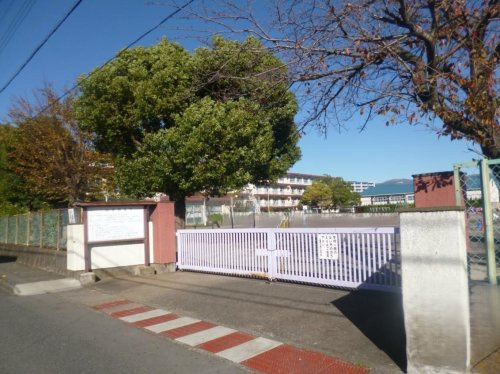 【小学校】三島市立南小学校まで1333ｍ