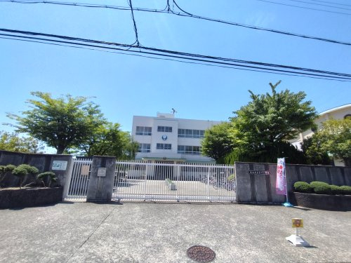 【小学校】茨木市立白川小学校まで993ｍ