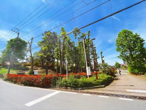 【公園】緑の散歩道まで520ｍ