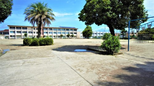 【小学校】久留米市立善導寺小学校まで337ｍ