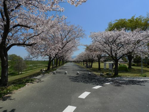 【公園】百年公園まで1485ｍ