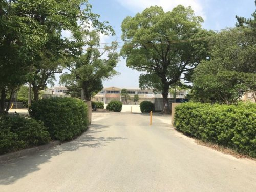 【小学校】荒木小学校まで775ｍ