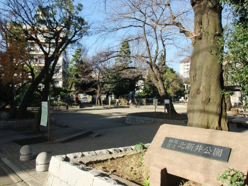 【公園】北新井公園まで510ｍ