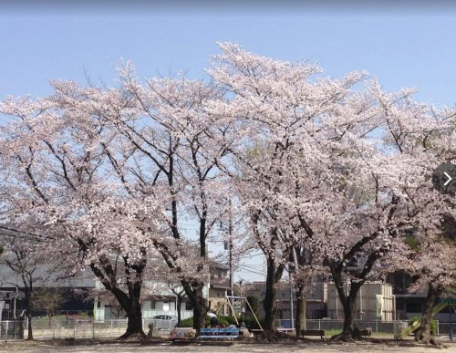 【公園】仲町公園まで574ｍ