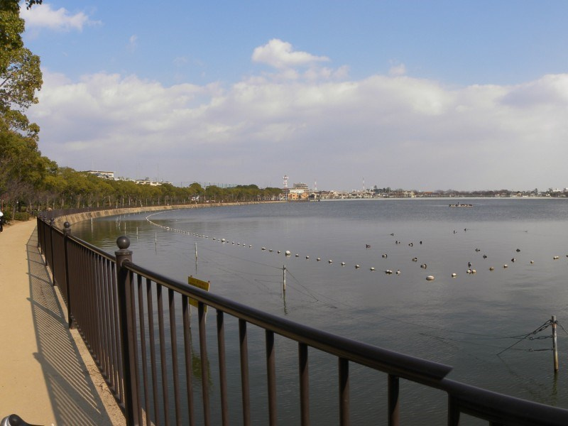 【公園】瑞ケ池公園まで122ｍ