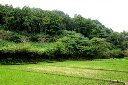 【その他】追分市民の森まで2496ｍ