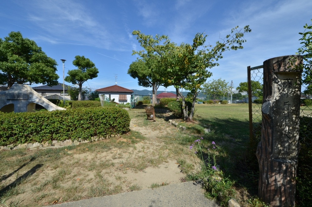 【公園】藤ヶ丘第九公園まで246ｍ